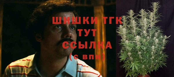стаф Новозыбков