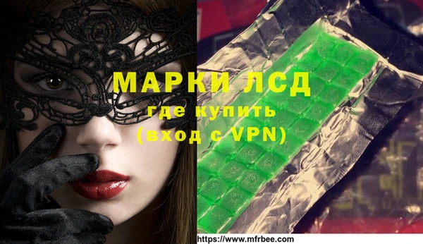 стаф Новозыбков
