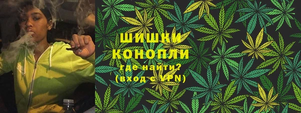 стаф Новозыбков