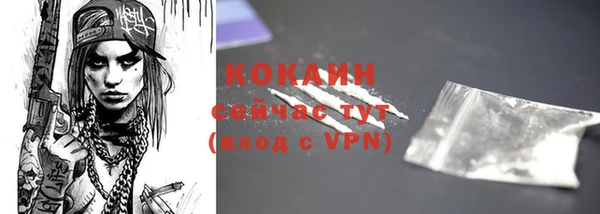 стаф Новозыбков
