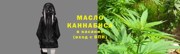 стаф Новозыбков