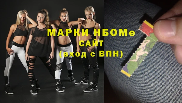стаф Новозыбков