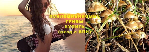 стаф Новозыбков