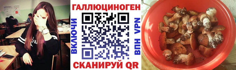 Галлюциногенные грибы Psilocybe  Солигалич 